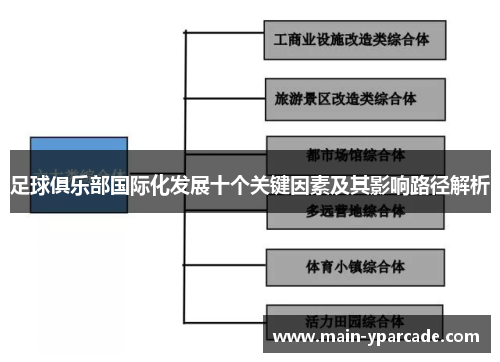足球俱乐部国际化发展十个关键因素及其影响路径解析 足球俱乐部国际化发展十个关键因素及其影响路径解析