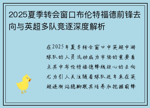 2025夏季转会窗口布伦特福德前锋去向与英超多队竞逐深度解析 2025夏季转会窗口布伦特福德前锋去向与英超多队竞逐深度解析